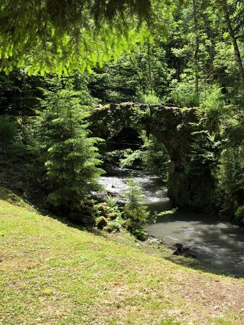 Le Moulin des Olirics Chalet in Combloux