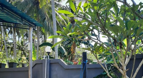 citiz house & hostel Bed and Breakfast in Nusapenida