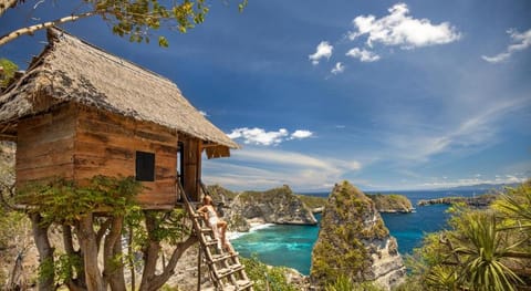 The Mesare Resort Resort in Nusapenida