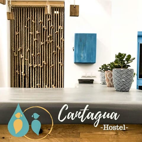 Cantagua Hostel Hostel in Valencia