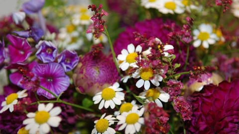 Hotel Boskamp Hotel in Bergisch Gladbach