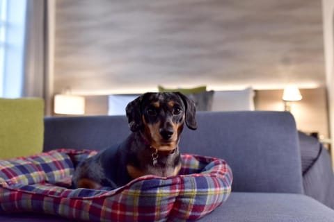 Staybridge Suites Dundee By IHG Apartment hotel in Dundee