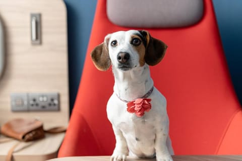 Holiday Inn Express Bridgwater By IHG Hotel in Taunton Deane