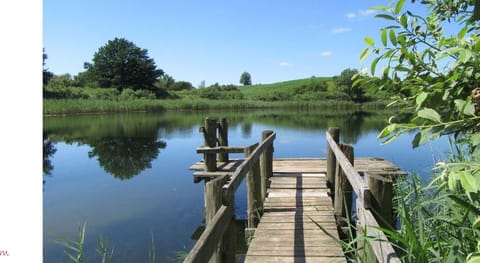 Alt Krassow Lakeside Retreat Apartment in Mecklenburgische Seenplatte