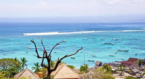 Uma Hostel Lembongan Hostel in Nusapenida