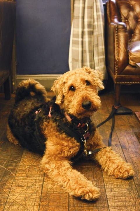 The Kings Arms Hotel in Swindon