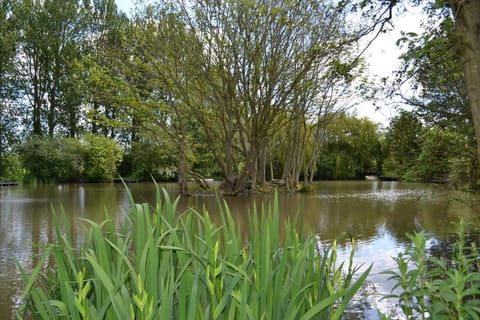 The Chiltern Lodges at Upper Farm Henton Farm Stay in Wycombe District