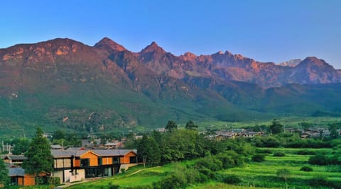 Property view