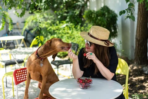 Good People design hostel Hostel in Belgrade