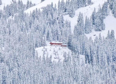 Bergresort Zugspitze Ehrwald by ALPS RESORTS Hotel in Garmisch-Partenkirchen