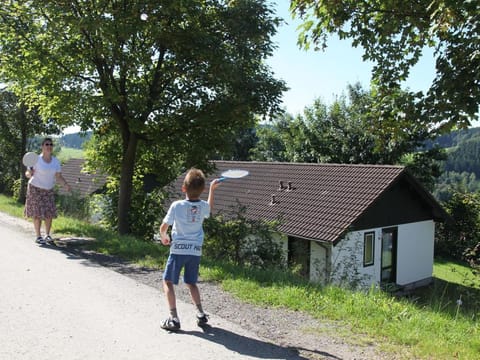 Villa with bubble bath, solarium and fireplace Villa in Vulkaneifel