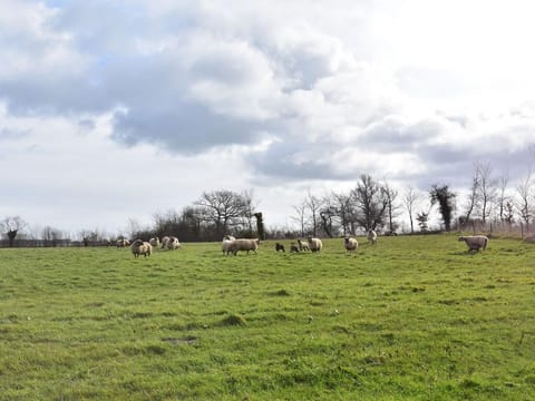 La Cigogne Nature Stay Vacation rental in Normandy