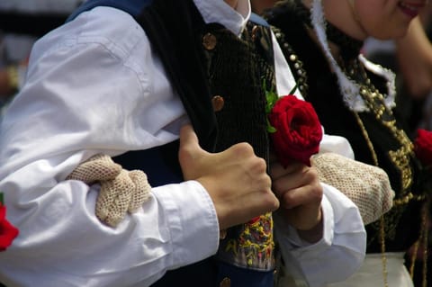 A l'Ombre des Pommiers Bed and Breakfast in Finistere