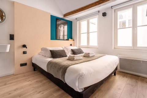 Au Chat Qui Dort Lille - Magasin Apartment in Lille