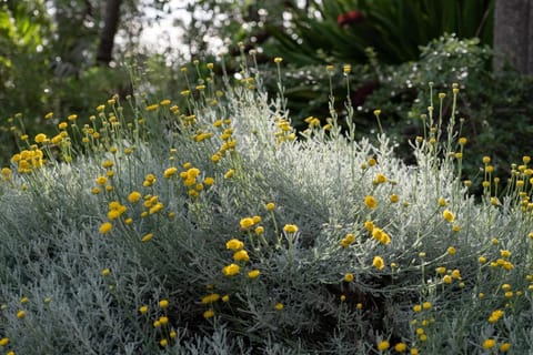 Bow Street Apartments & Cottage Motel in Raglan