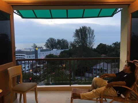 Property view