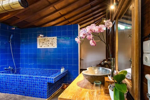 Ubud House Villa Vacation rental in Abiansemal