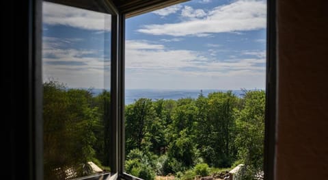 Hallgarter Zange Bed and Breakfast in Oestrich-Winkel