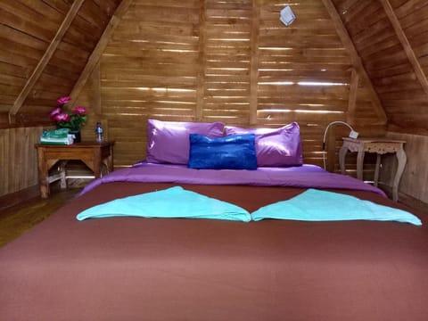 Triangle House Kintamani Vacation rental in Karangasem Regency