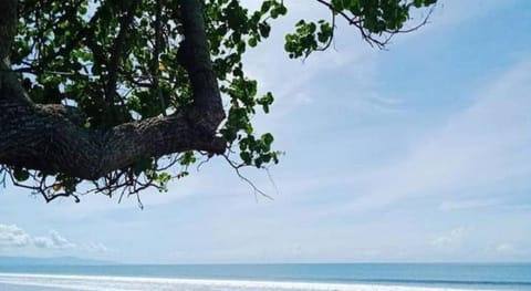 Jembrana Bali Homestay Vacation rental in Bali