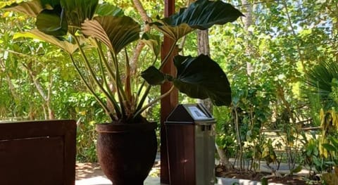 Jembrana Bali Homestay Vacation rental in Bali