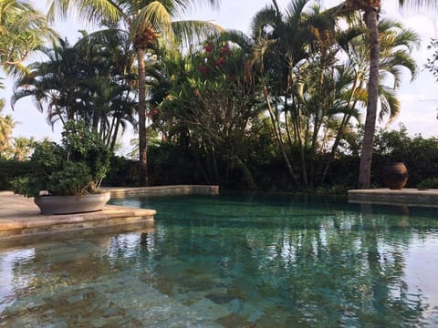 Small paradise near the ricefields Vacation rental in Buleleng