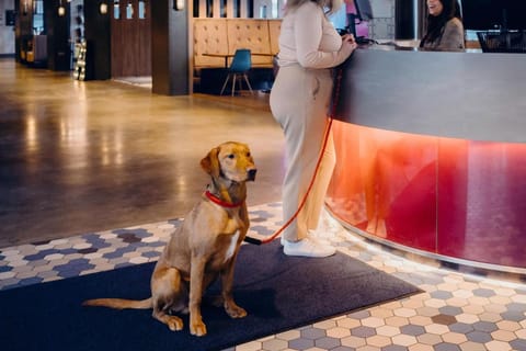 Aloft Aberdeen TECA Hotel in Aberdeen