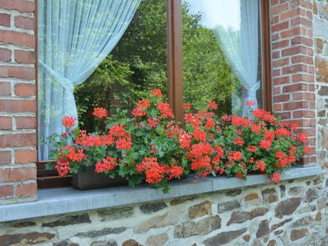 Spacious retreat, Daverdisse Vacation rental in Wallonia, Belgium