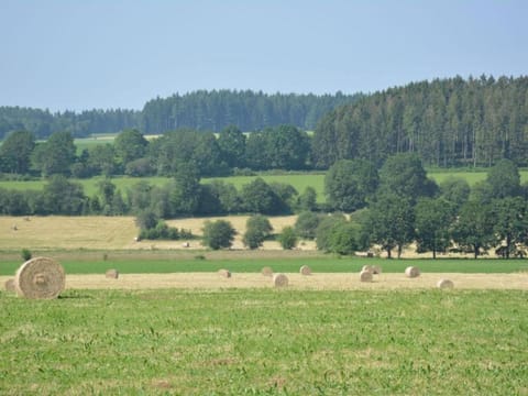 Spacious retreat, Daverdisse Vacation rental in Wallonia, Belgium