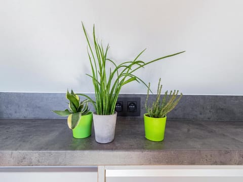 Apartment in Watou near French Border Apartment in Flanders