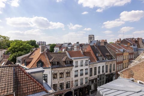 Au Chat Qui Dort Lille - Thiers Apartment in Lille