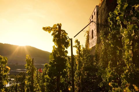 Rochter Landhotel Bed and Breakfast in Cochem-Zell