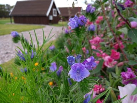 Macbeth's Hillock - Pod 1 Vacation rental in Scotland