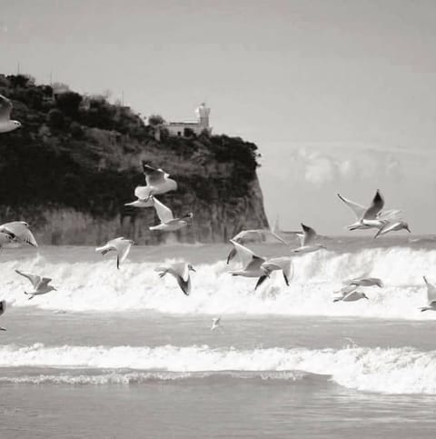 San Marco Beach app. Maestrale Apartment in Agropoli