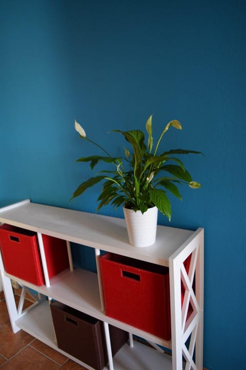 Obstkorb Apartment in Stralsund