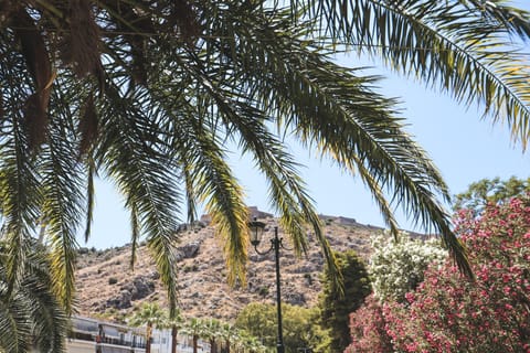 NANTINAS APPARTEMENT Apartment in Nafplion