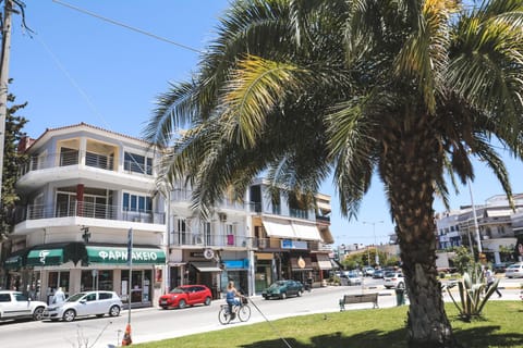 NANTINAS APPARTEMENT Apartment in Nafplion