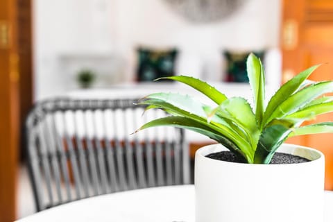 Villa Pandi Seminyak Villa in Kuta