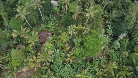 Bali forest cabin Villa in East Selemadeg