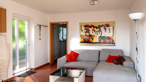 Apartment with view, close to the city of Basel Apartment in Riehen