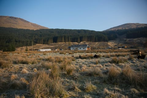 Wee Holiday Cottage by the loch Vacation rental in Scotland