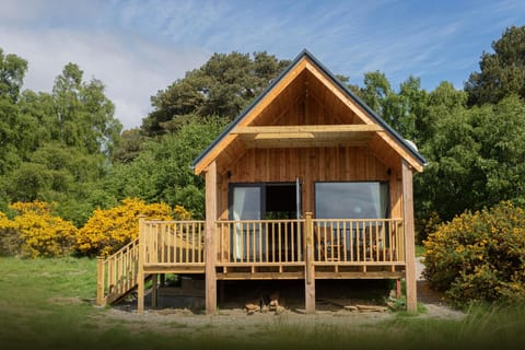 Birdwatchers' Cabin a luxury romantic getaway Vacation rental in Scotland