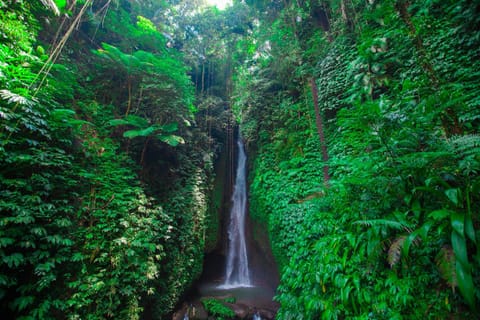 New! Beautiful stay at the Waterfall Village Bali! Vacation rental in Marga