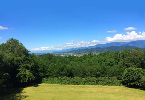 Ca' Viridi Apartment in Trentino-South Tyrol