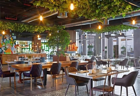 C Central Resort The Palm Resort in Dubai