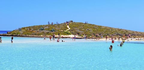 Rent Your Dream Protaras Holiday Villa and Look Forward to Relaxing Beside Your Private Pool, Protar Villa in Protaras