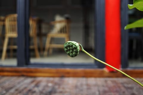 art house Vacation rental in Tianjin