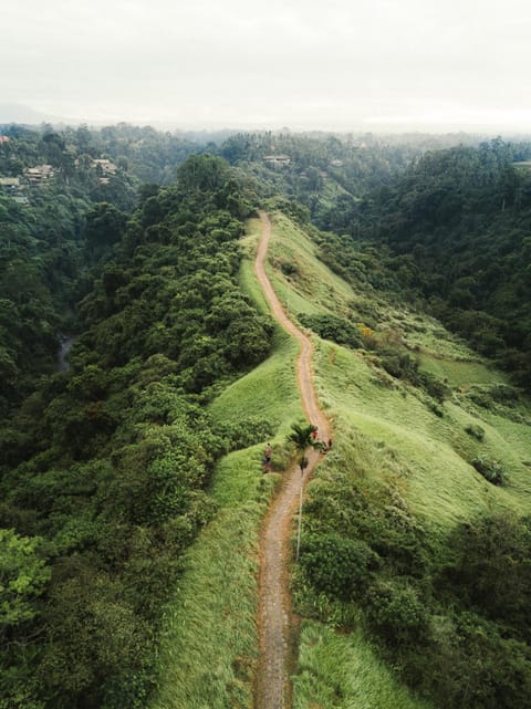 Luxury 10 Bedroom Holiday Villa in Seminyak with Private Pool, Villa Bali 2061 Villa in Kuta