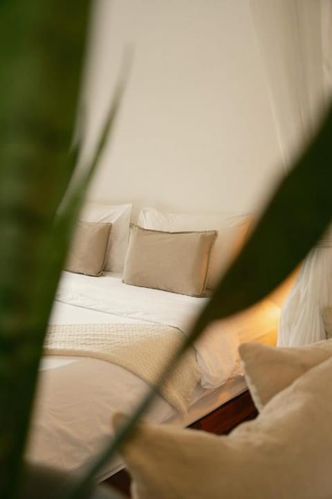 Big Tree Boutique Hotel Hotel in Ko Tao