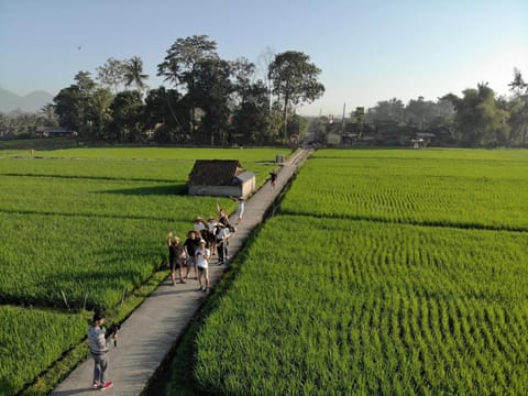 BAKUNGAN diJero Homestay Vacation rental in Marga